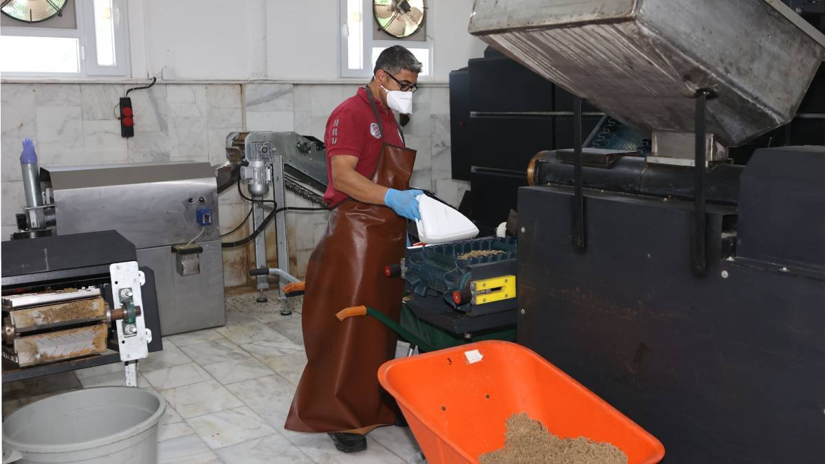 Büyükşehir üretiyor, can dostlar tüketiyor