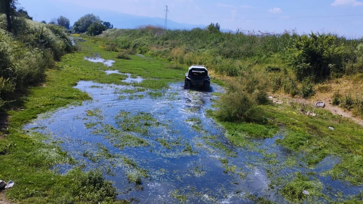 Sinekle mücadele yaz aylarında da hız kesmiyor