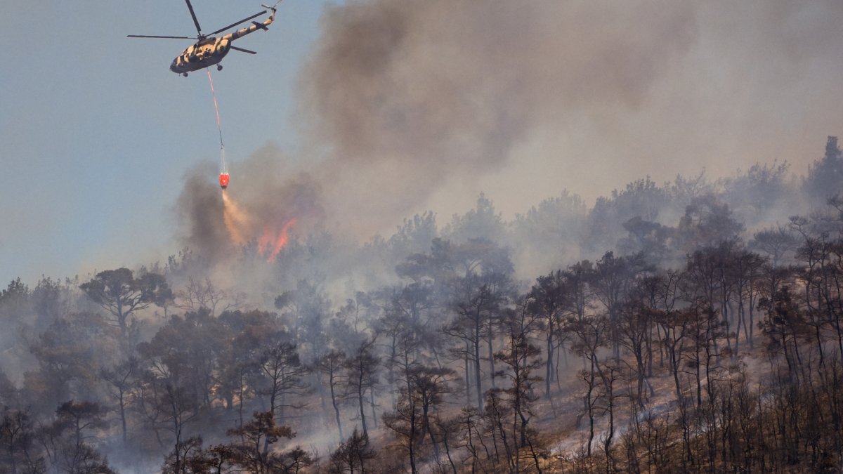 İzmir Foça’da orman yangını: Havadan ve karadan müdahale başladı