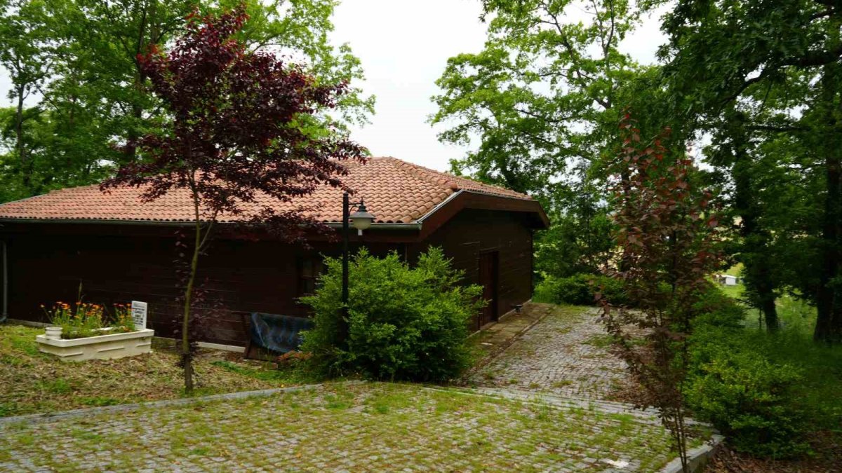 Kocaeli'deki 710 yıllık mucize: Çivisiz inşa edilen Işıklı Cami görenleri hayran bırakıyor!