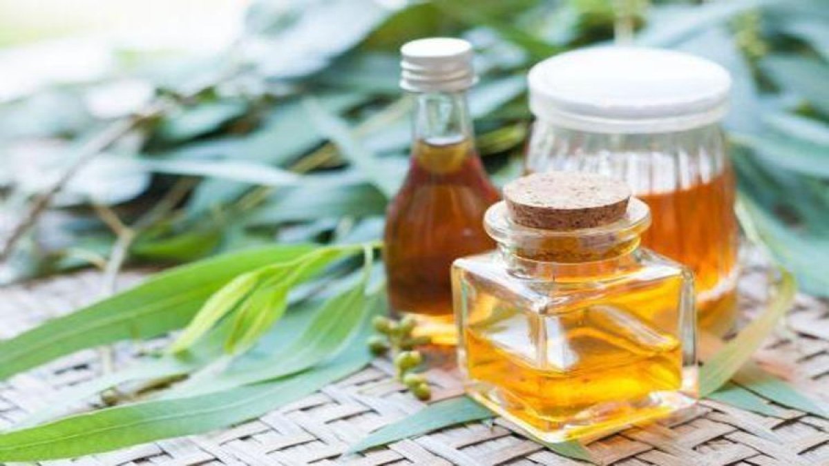 Yaz akşamları sineksiz geçsin! Balkon için doğal buhurdanlık formülü