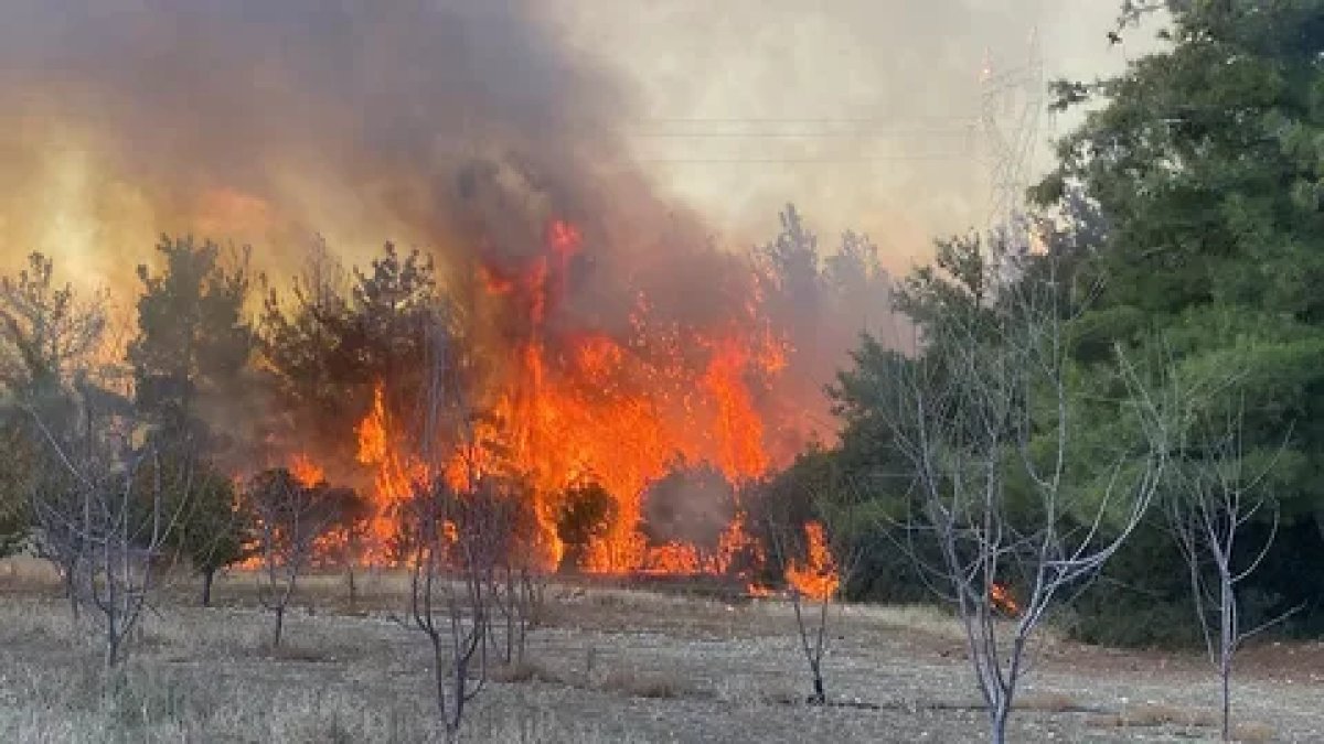Çanakkale'de orman yangınlarına soruşturma: 6 kişi gözaltında