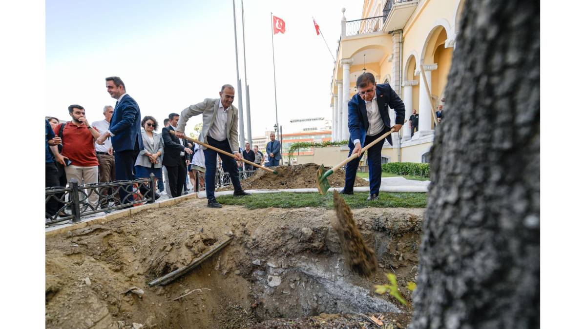 Devrilen çınar ağacı yerine yenisi dikildi