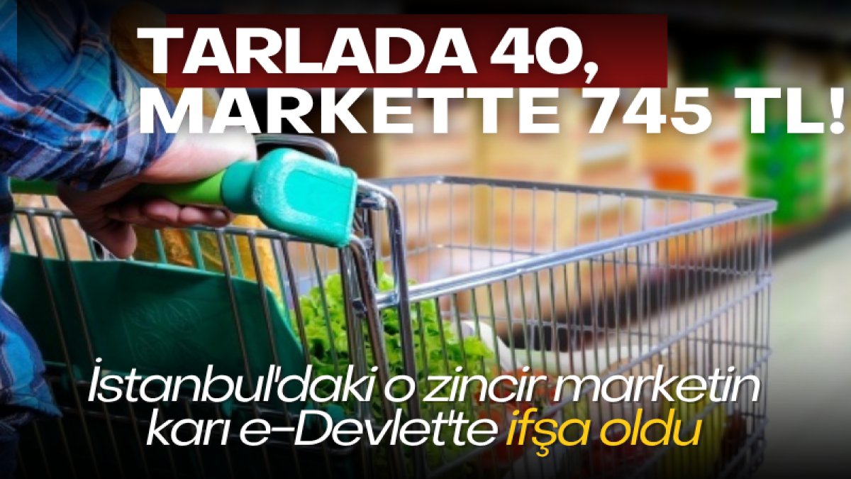 Tarlada 40, markette 745 TL! İstanbul'daki o zincir marketin karı e-Devlet'te ifşa oldu