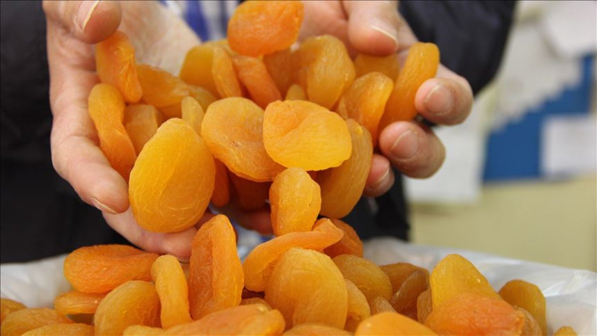 Malatya’dan ABD’ye ihraç edilen kuru kayısılarda sağlık alarmı: 352 kasa için toplatma kararı