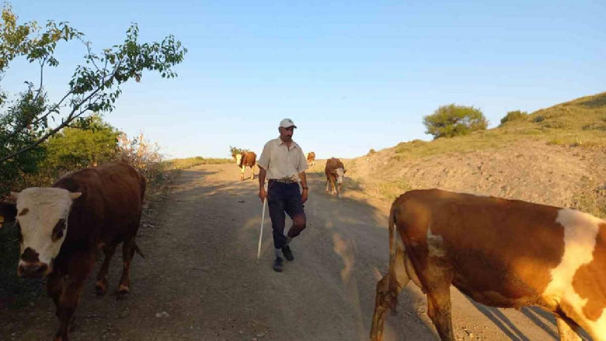 Kimsenin beğenmediği meslek kıymete bindi! Hayvan çok ama bakan yok: Yüksek maaş gereksinimi eleman krizini doğuruyor