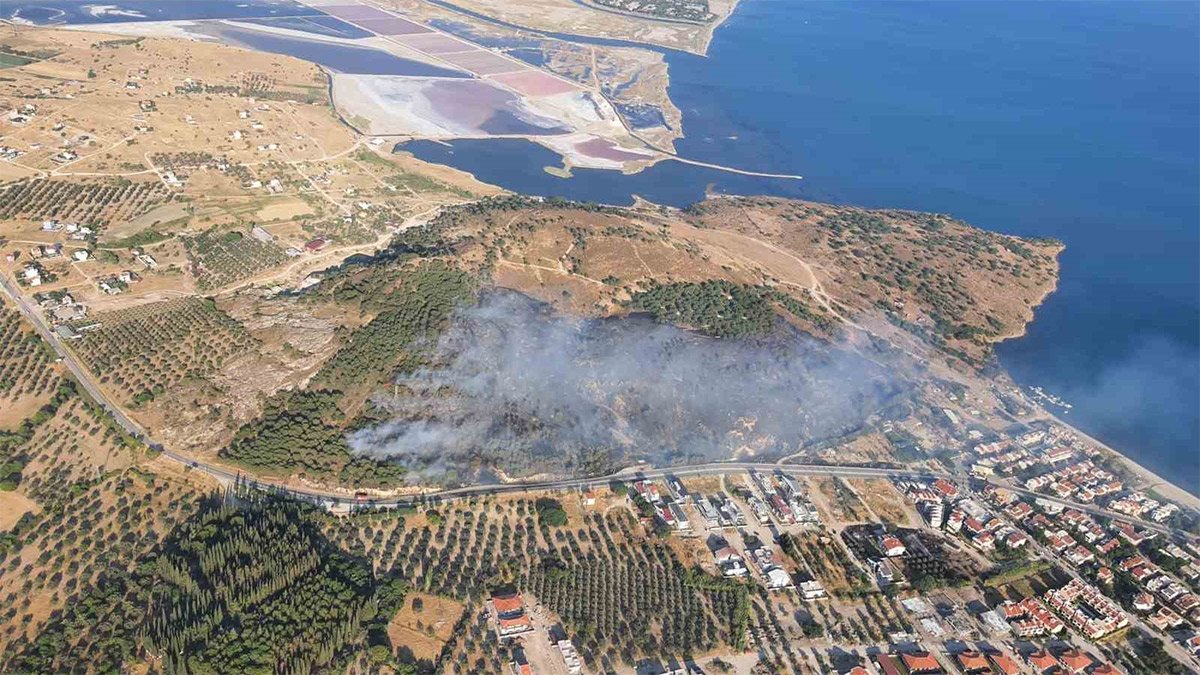 İzmir Dikili'de orman yangını! Ekipler müdahale etti