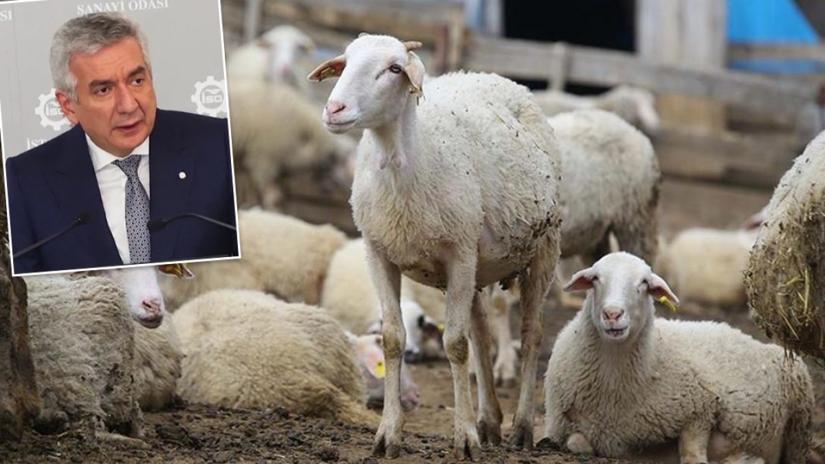 İSO Başkanı Bahçıvan: İthalata dayalı hayvancılık sürdürülemez