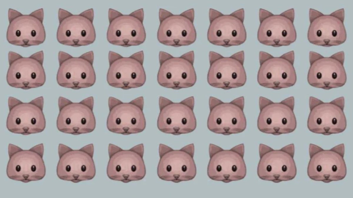 Görsel zekanı test et: Bu farelerin arasında gizleneni sadece 6 saniyede bulanlar dahi kabul ediliyor