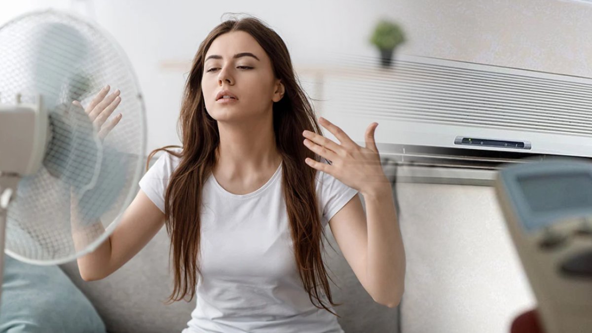 Evi buz gibi yapacak yöntem bulundu! Ne vantilatör ne de klima: Sadece bu bitkiler evi serinletiyor