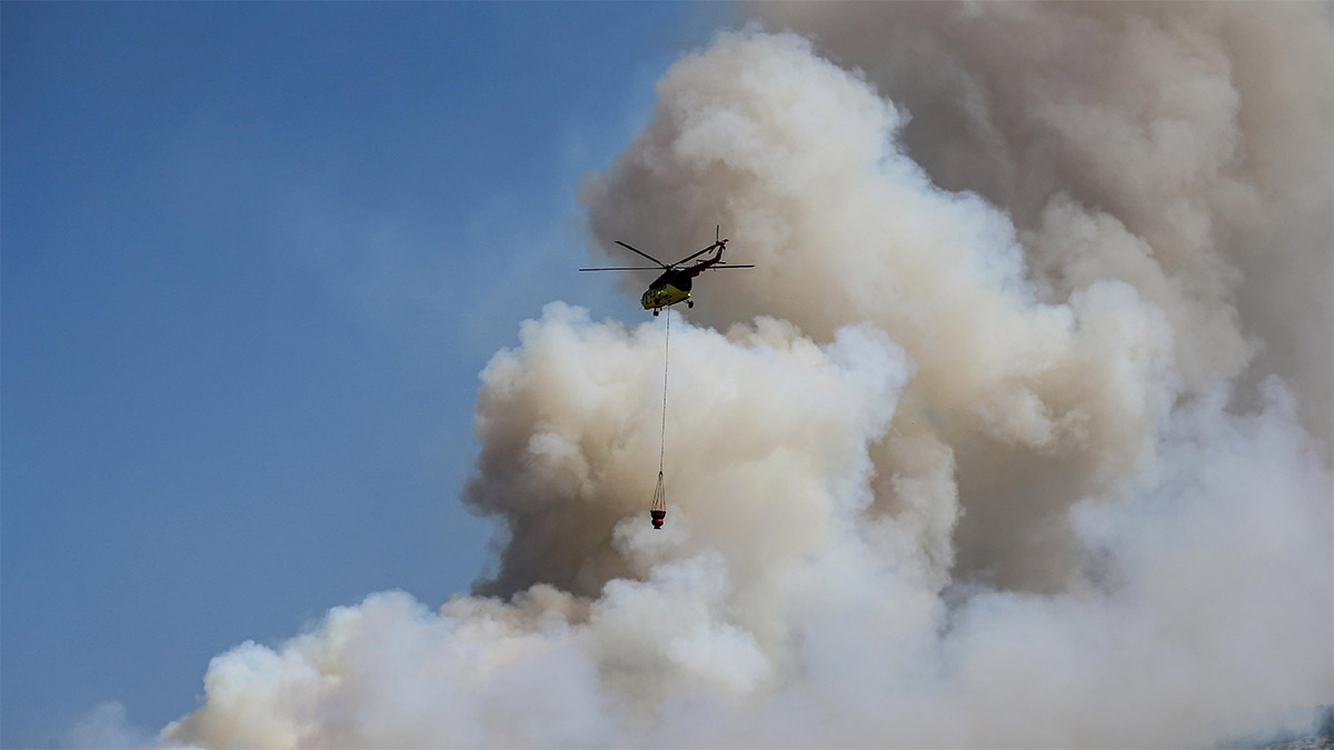 Bursa'da orman yangını: Bir mahalle tahliye ediliyor
