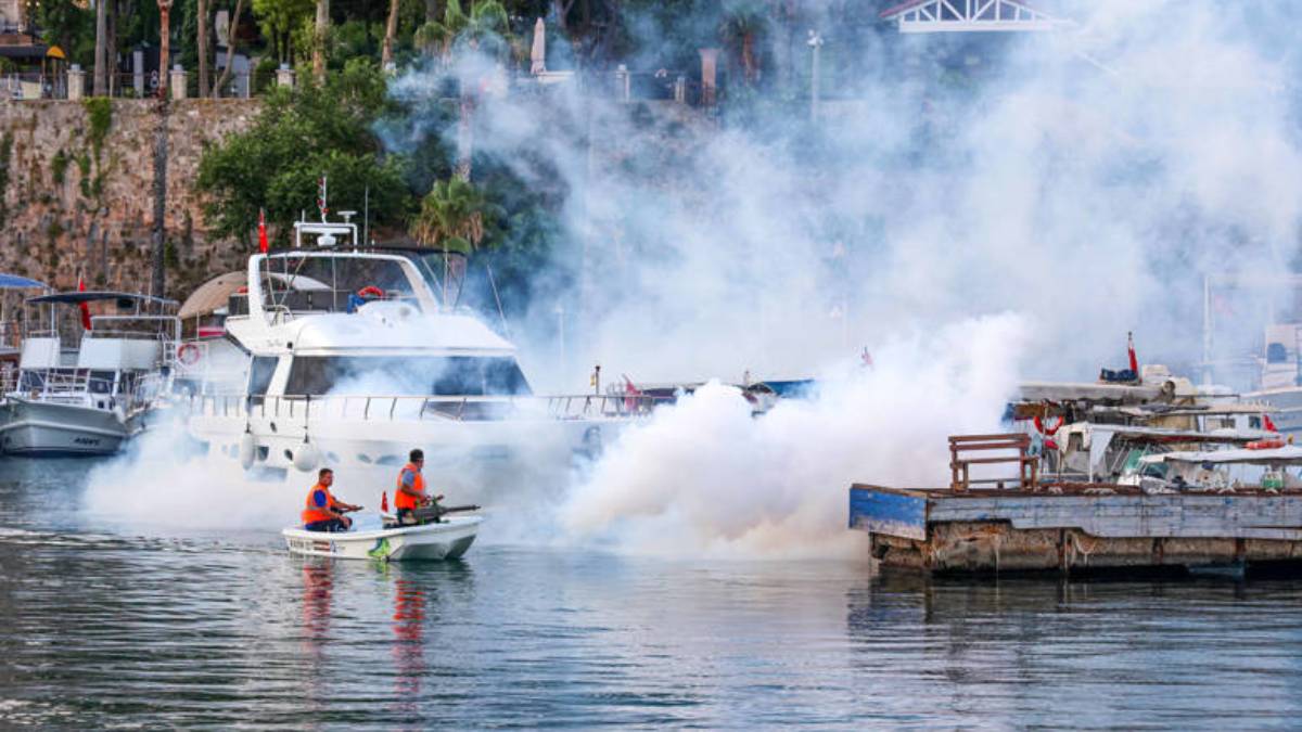 Vektörel mücadele hem karadan hem denizden yürütülüyor