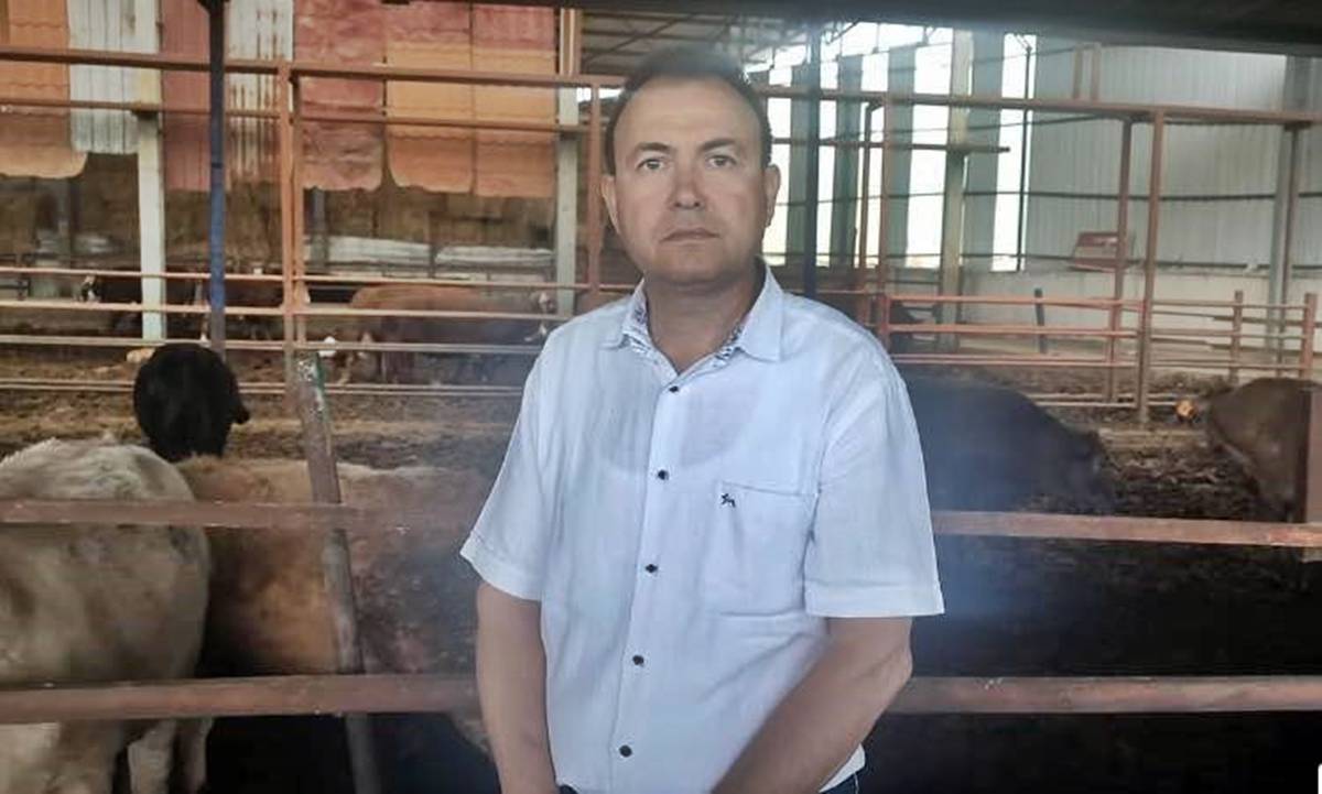 Fotoğrafını çekmek istediği dananın saldırısında hayatını kaybetti! Çiftlikte dehşet anları