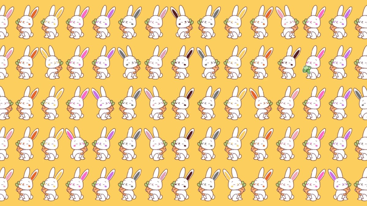 Bu görsel beyin yakan cinsten! Farklı tavşanı görenler kendini şanslı sayıyor