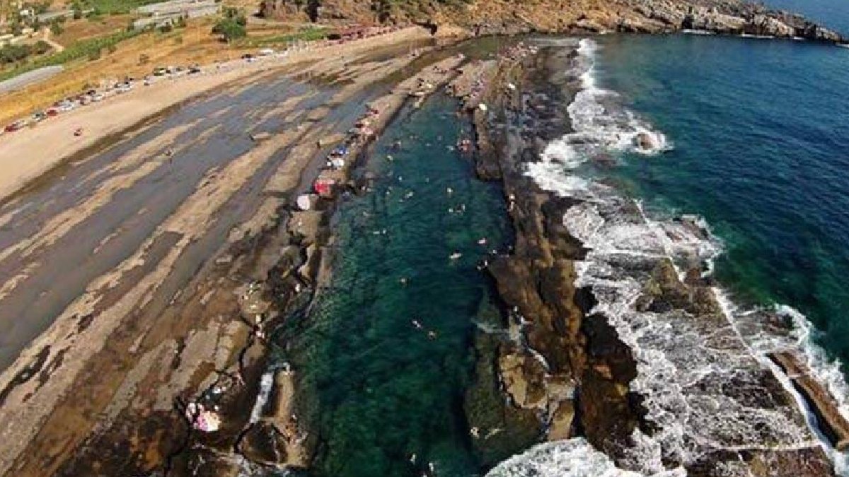 Doğal miras tehlikede: Akdeniz foklarının yuvasına otel projesi