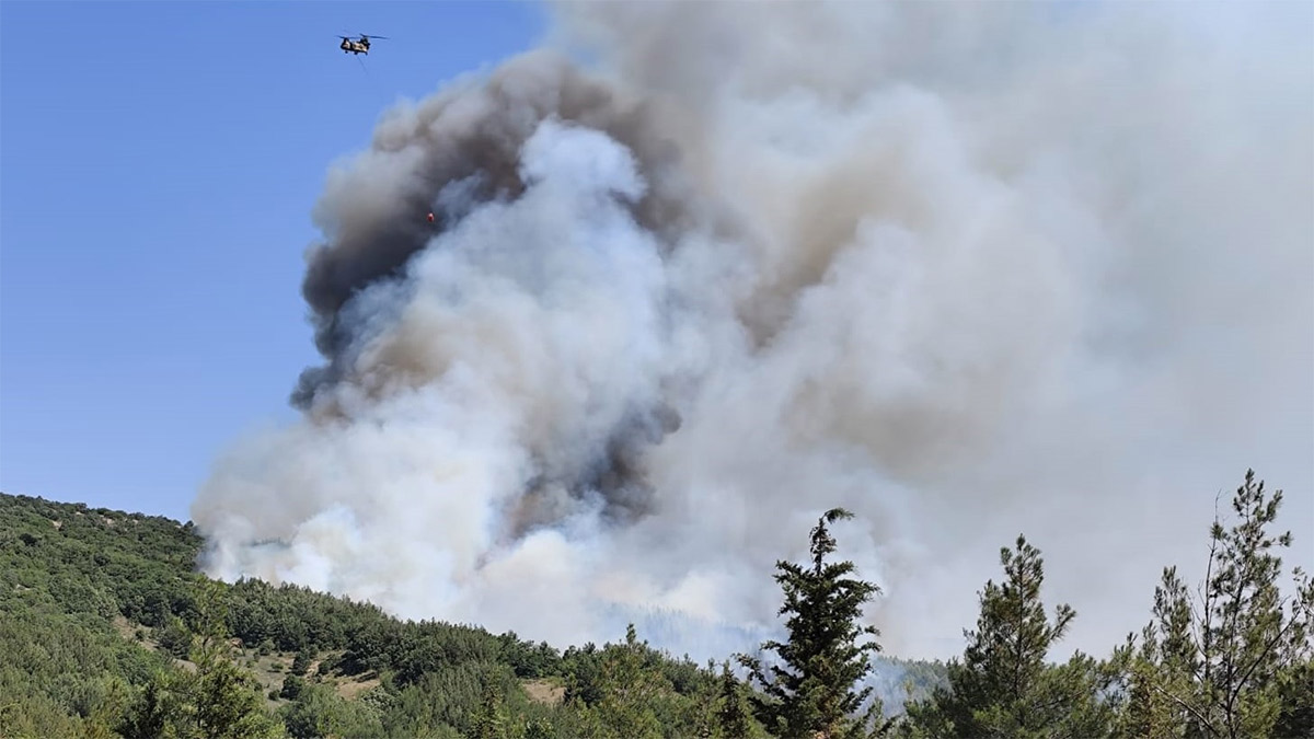 Balıkesir ve Çanakkale'de orman yangını! Müdahale sürüyor