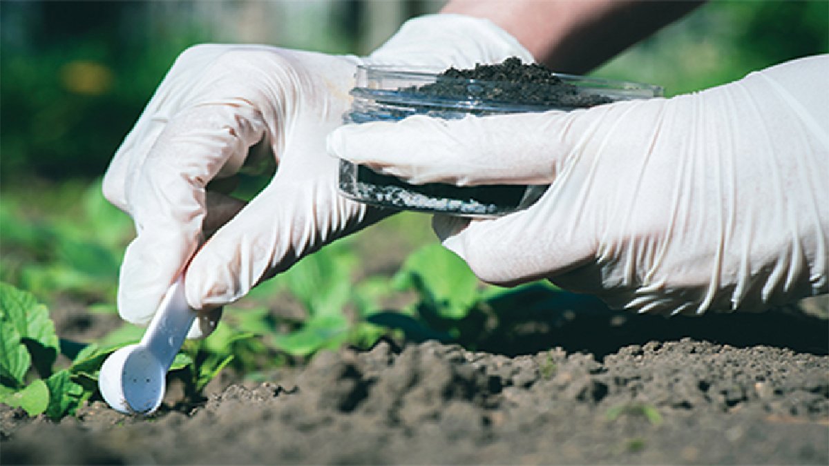 Bahçıvanlar yıllardır uyguluyormuş… Toprağa birazcık ekleyen cenneti bahçeye taşıyor