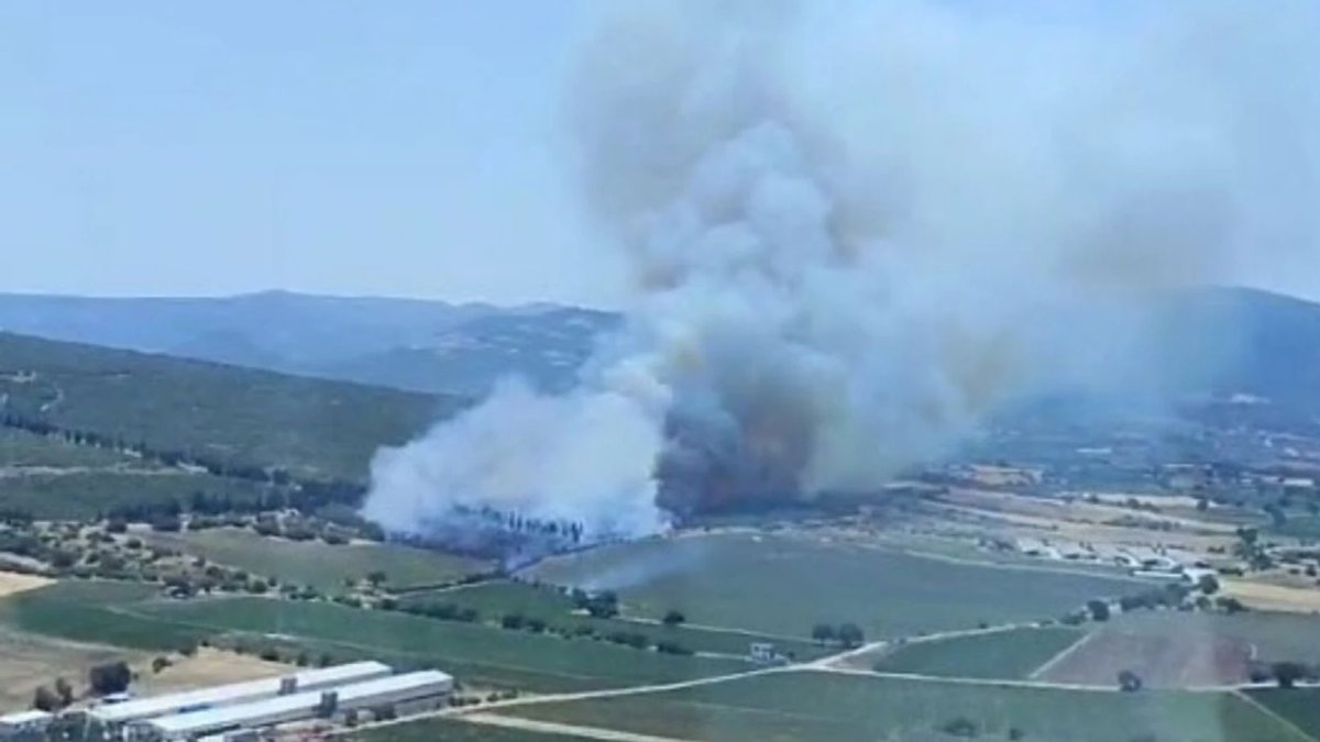 İzmir'de orman yangını: Müdahale sürüyor