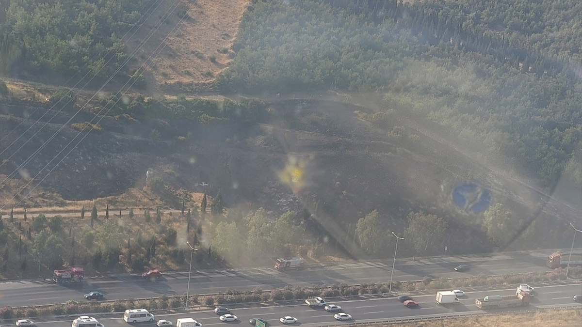 Tır alev aldı, ormanı tutuşturdu