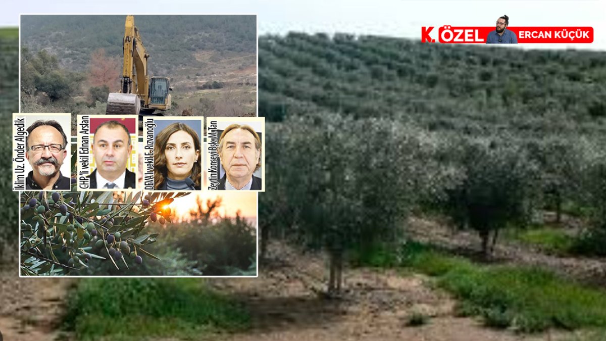 Zeytinlik inadı çevreye darbe