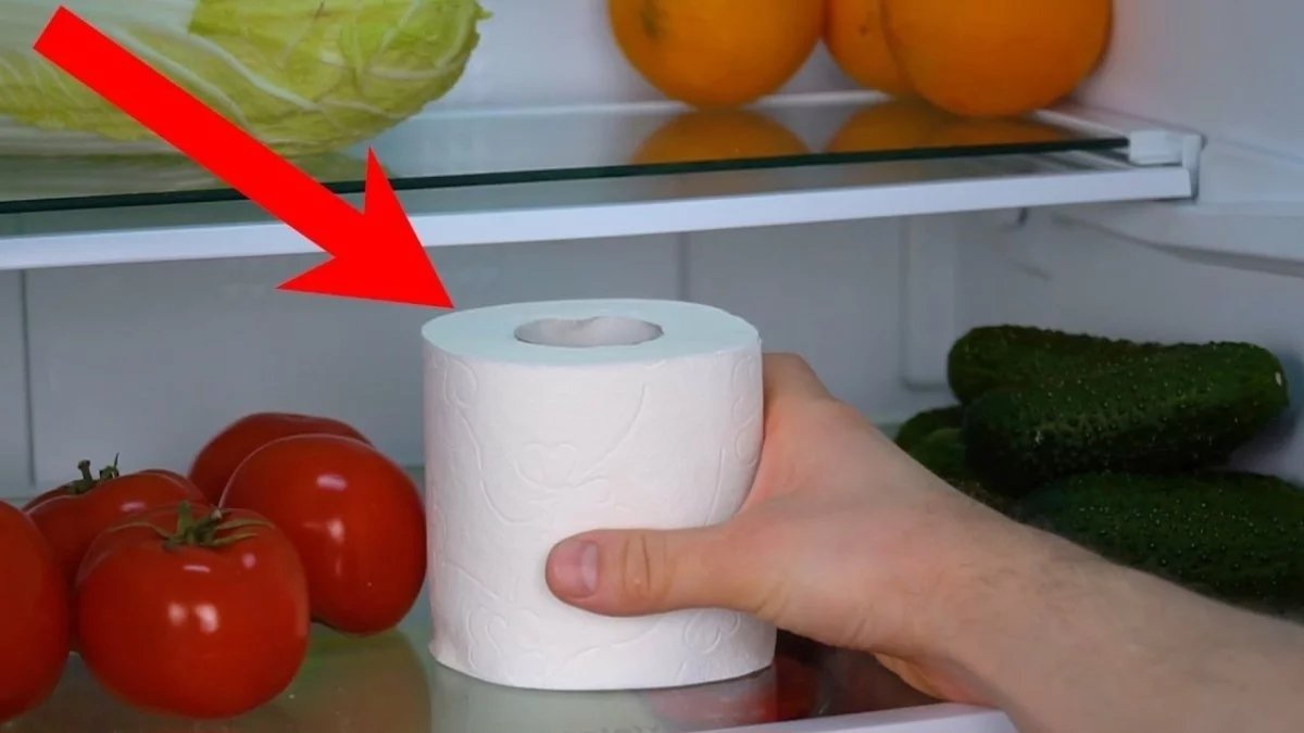 Buzdolabına tuvalet kağıdını koyun etkisini görün! Yanlış duymadınız: Faydasını duyunca hak vereceksiniz
