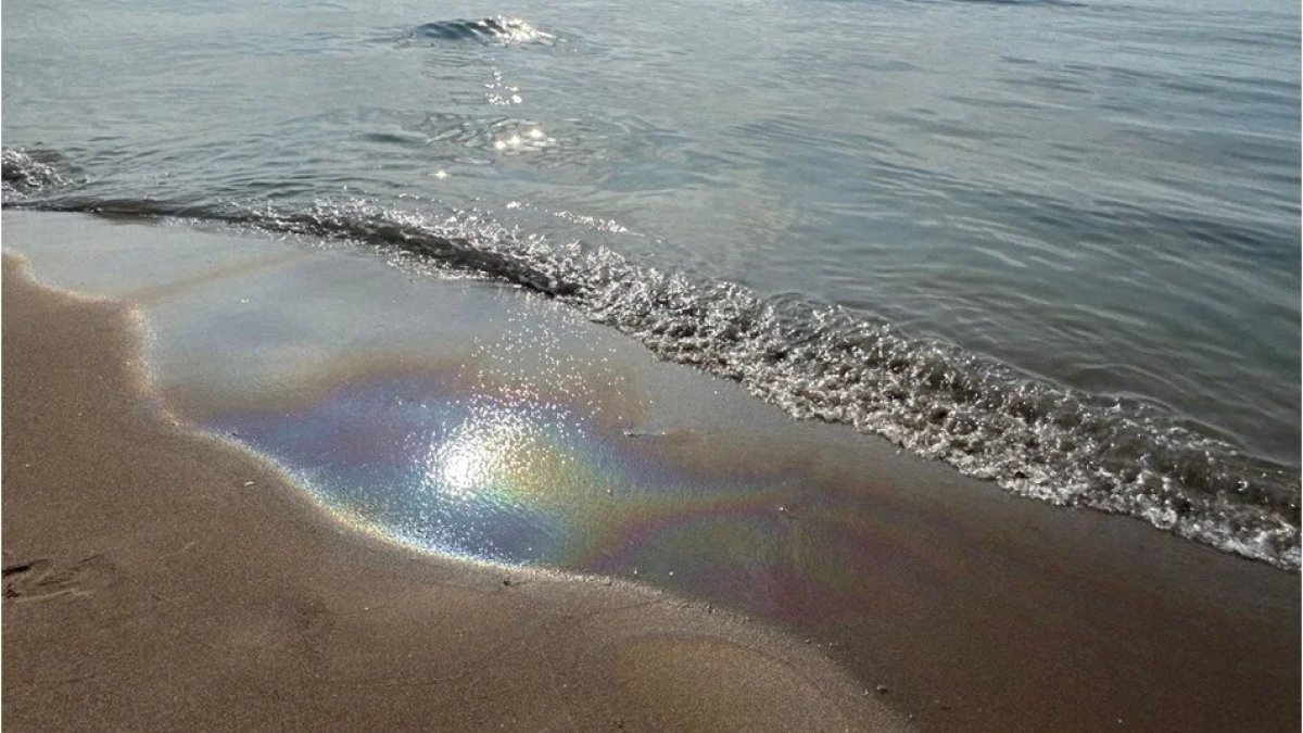 Bartın'da denizde kirlilik ve mazot kokusu: İnceleme başlatıldı