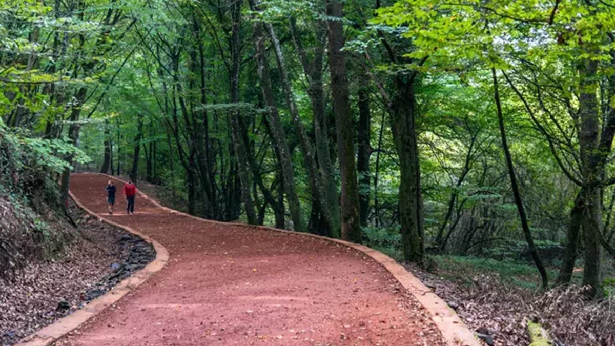 İstanbul'da ormanlık alanlara giriş yasaklandı