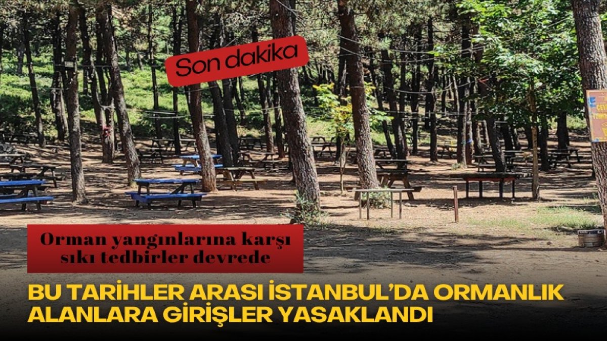 Son dakika… Orman yangınlarına karşı sıkı tedbirler devrede: Bu tarihler arası İstanbul’da ormanlık alanlara girişler yasaklandı