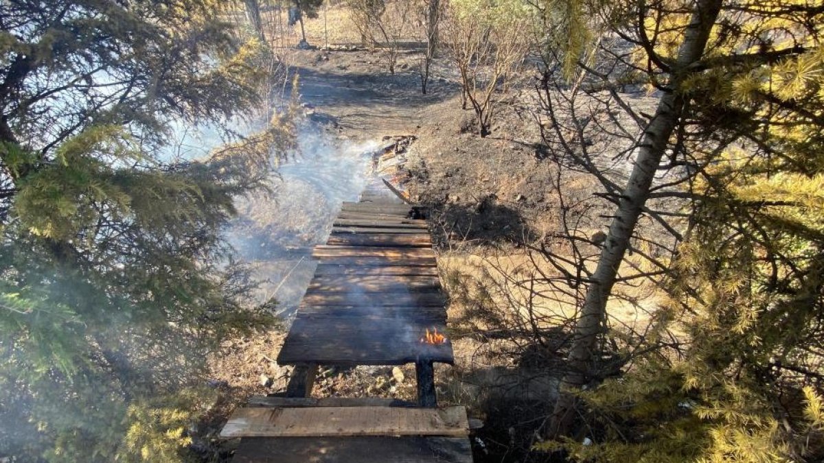 TEM kenarında yangın alarmı: Ormana sıçrayan alevler 2 saatte kontrol altına alındı