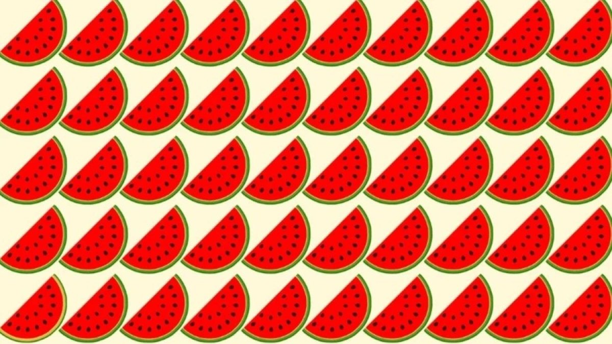 Resimdeki 50 karpuzdan biri farklı! 4 saniyede bulan süper zekaya sahip: Bakalım bulabilecek misiniz