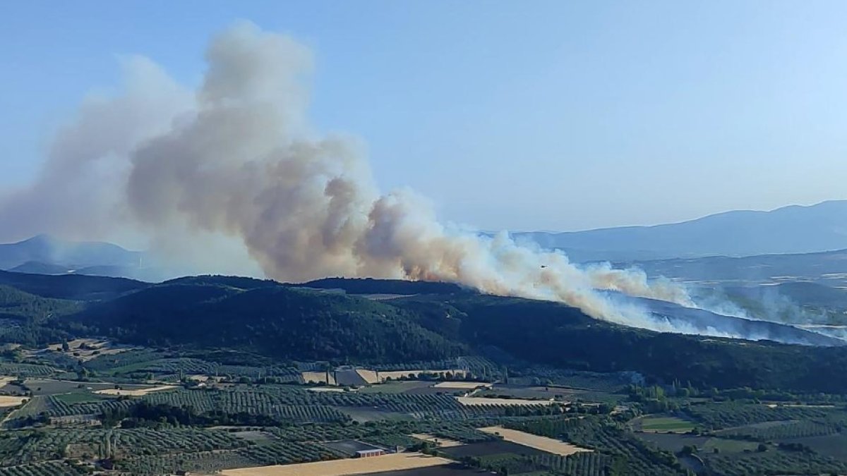 Manisa Kırkağaç’ta orman yangını: Ekipler havadan ve karadan müdahale ediyor