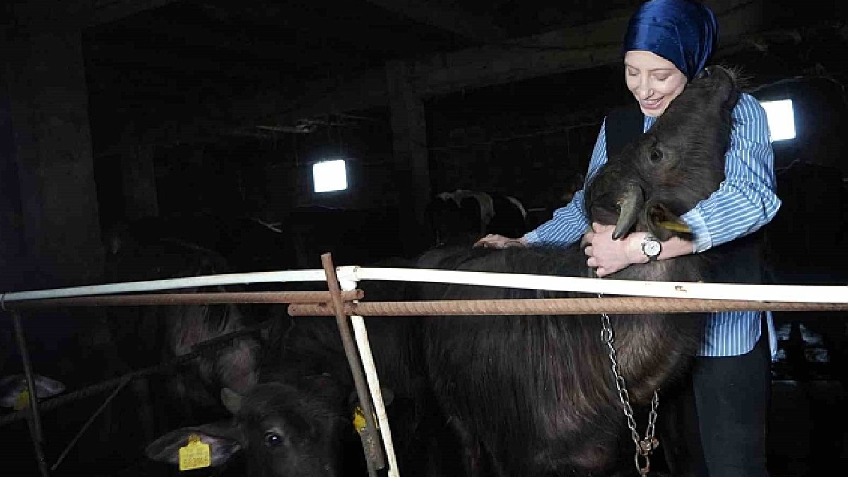 7 taneyle başladı 17 taneye ulaştı! Köyün simge ismi: Kendi çalıştı kendi kazandı! Türkiye’nin her yerine gönderiyor