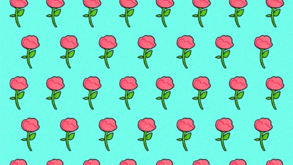 Dikkat testi değil, adeta zihin oyunu! 6 saniyede farklı gülü görenler %1’lik dilime giriyor