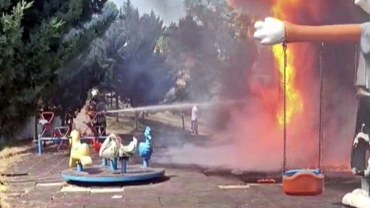 Çocukların yaktığı ateş, parkı kül etti! Korkutan anlar kamerada