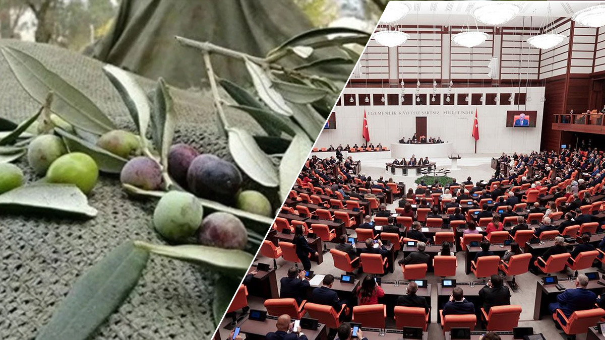 Bu işin ikinci perdesi yok