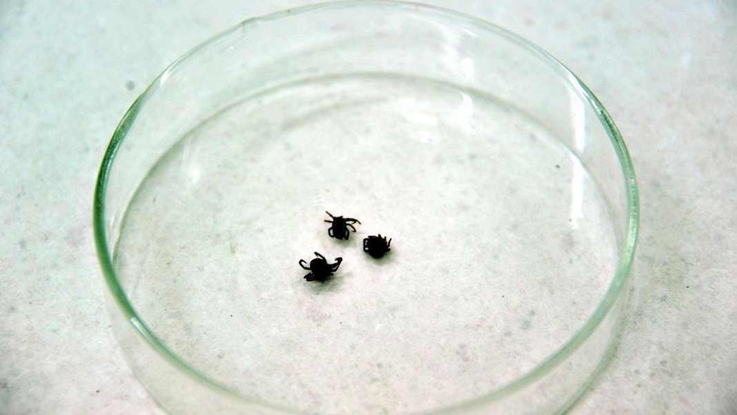 Çankırı'da KKKA şüphesiyle ölüm