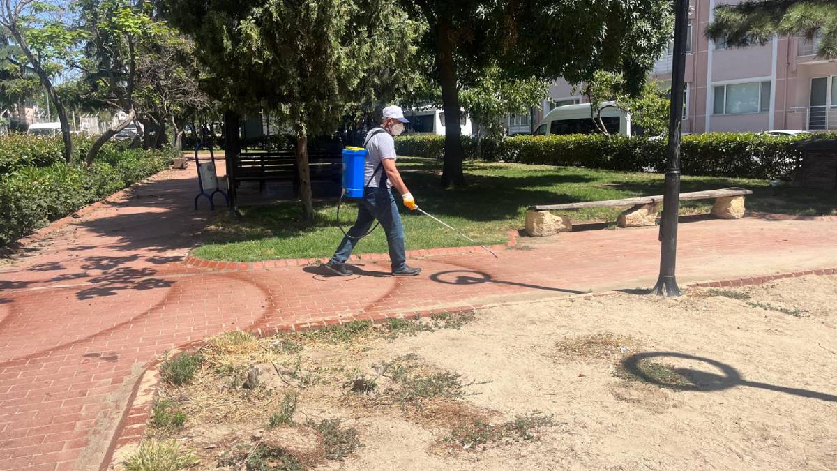 Belediyeden keneyle mücadele çalışmaları