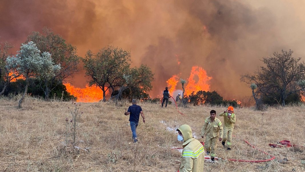 Aydın'da makilik alanda yangın