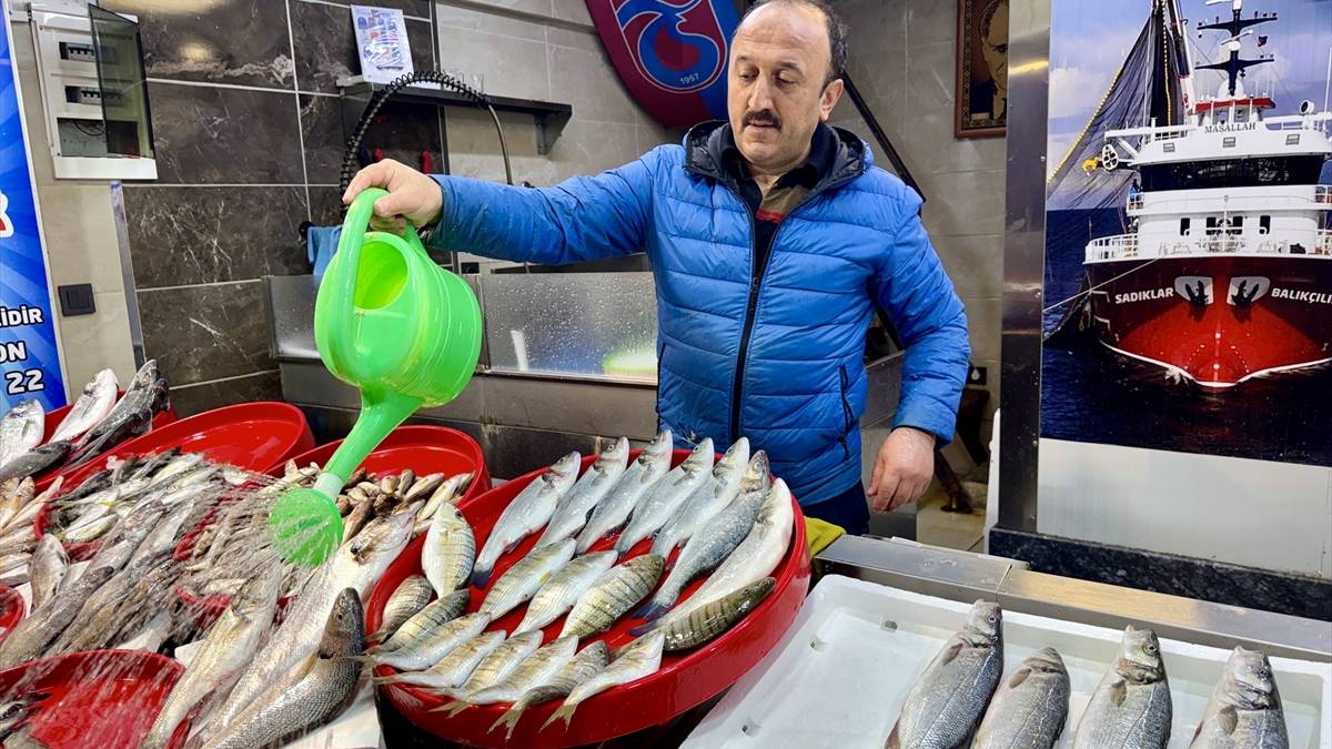 Yaz geldi tezgahlarda bolluk arttı! Giden resmen şenleniyor: Alabalık 150, somon 125 liradan alıcı buluyor