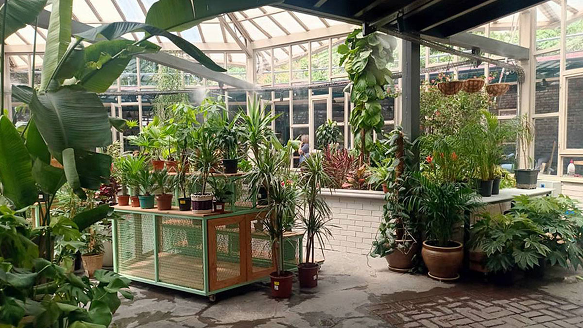 Ankara'nın merkezinde doğayla iç içe bir vaha! Başkentin gizli cennetinde bambaşka dünya var