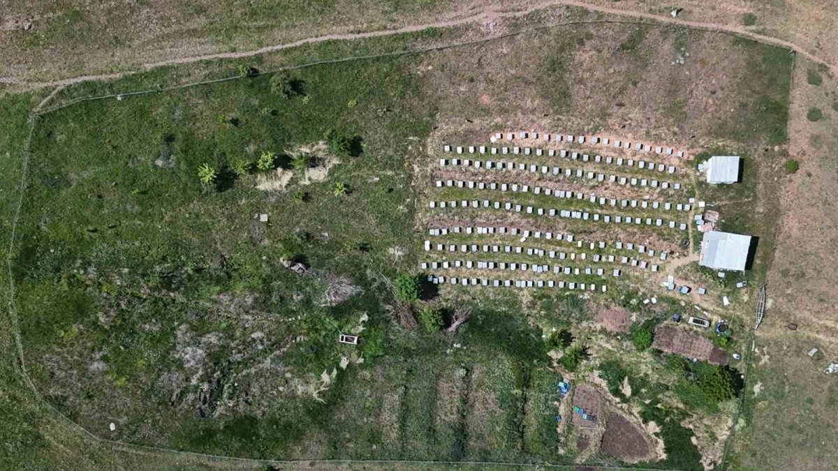 Dünyanın en pahalı besini: Kilogramı 45 bin lira!