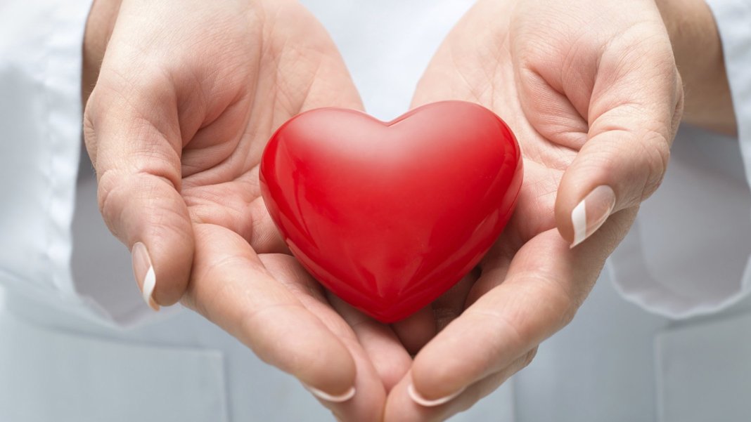 Organ bağışında yeni dönem başlıyor