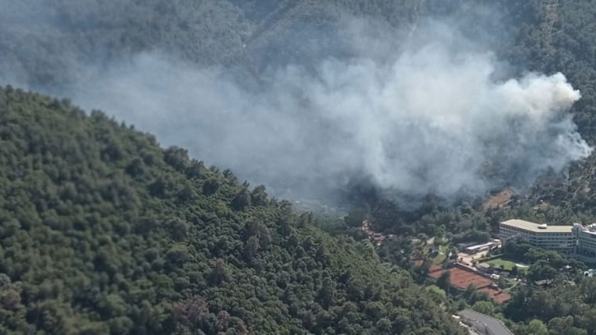 İzmir’de orman yangını