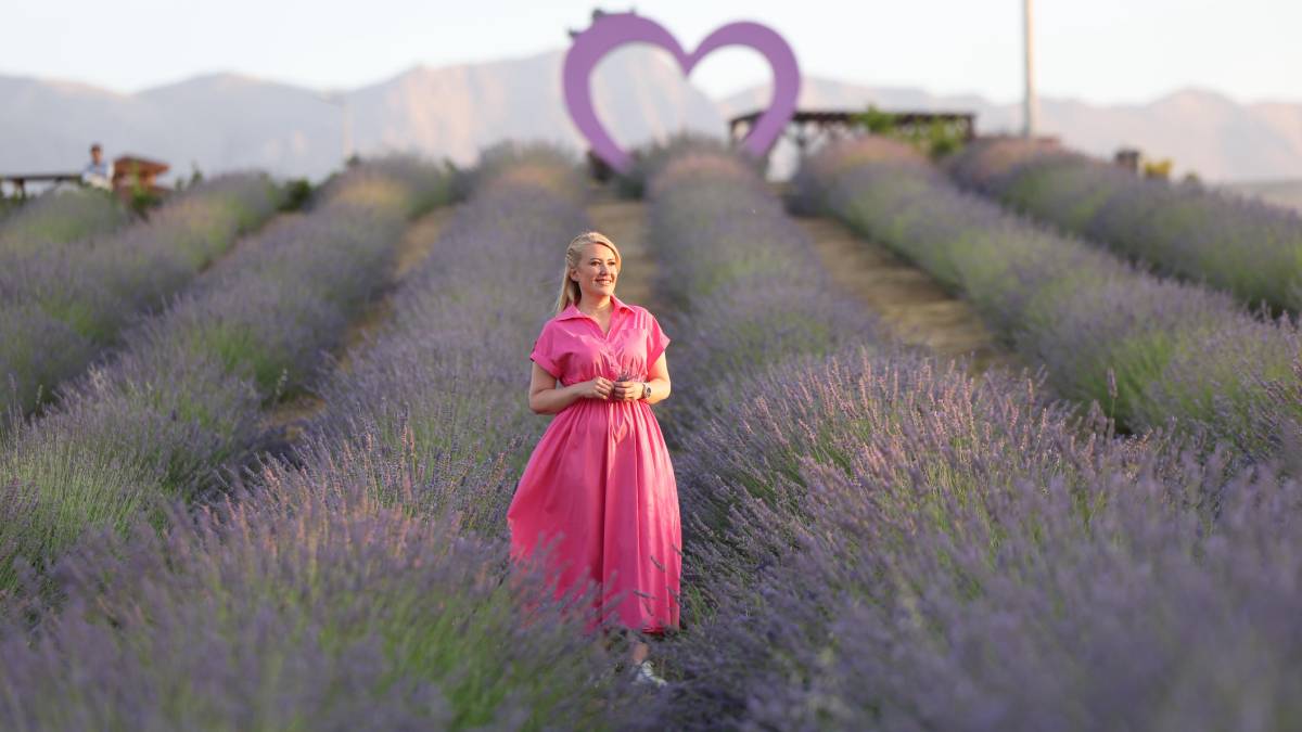 Merkezefendi Lavanta Bahçesi ziyaretçilerini bekliyor