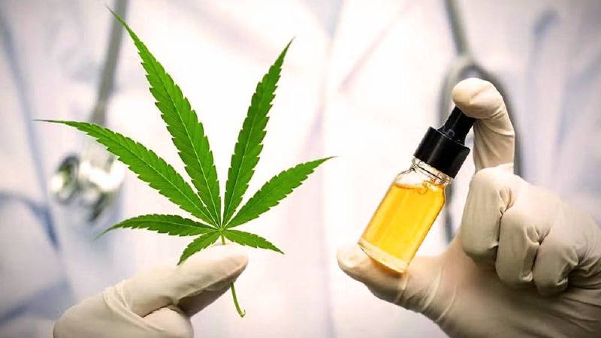 AK Partiden'den yeni düzenleme: Eczanelerde tıbbî kenevir satılacak