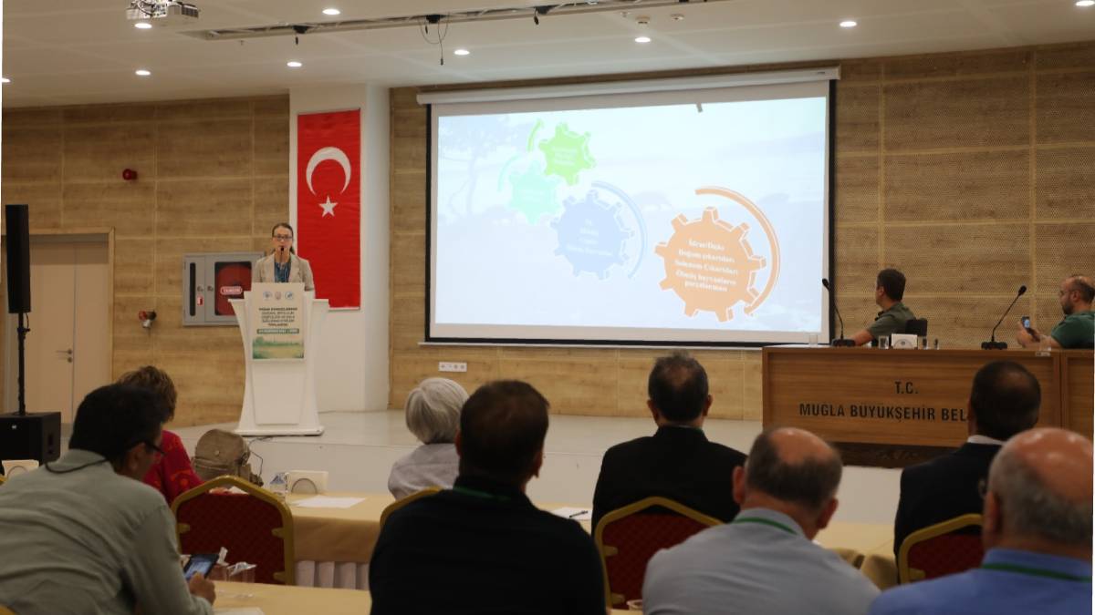 Yaban Domuzlarının Ekosistem ve Halk Sağlığına Etkileri Muğla’da masaya yatırıldı