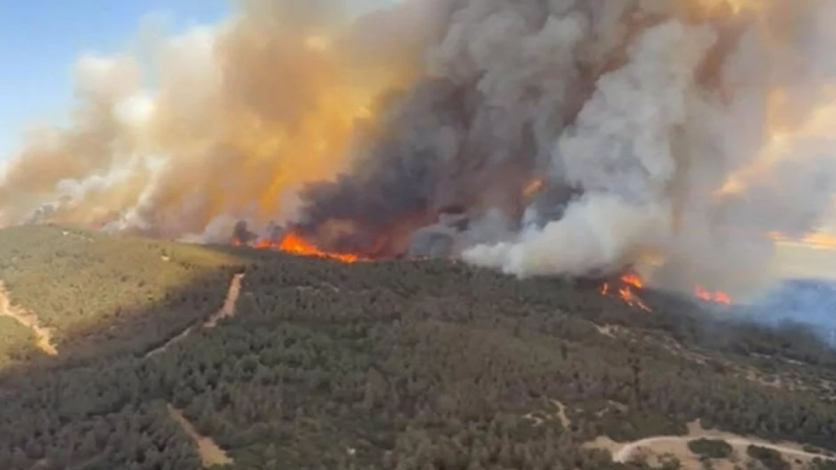 İzmir'de orman yangını: Alevler büyüdü, müdahale sürüyor