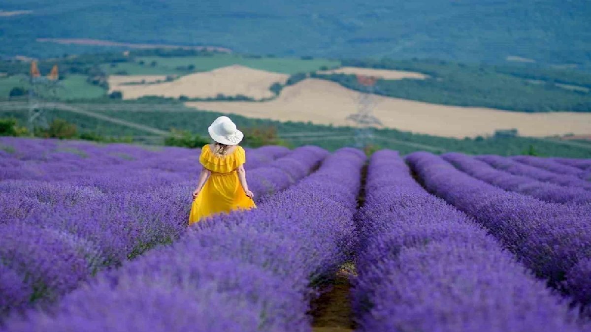 İstanbul’dan sıkılan buraya koşuyor! Sadece 1.5 saat uzaklıkta: Akın akın gidiyorlar