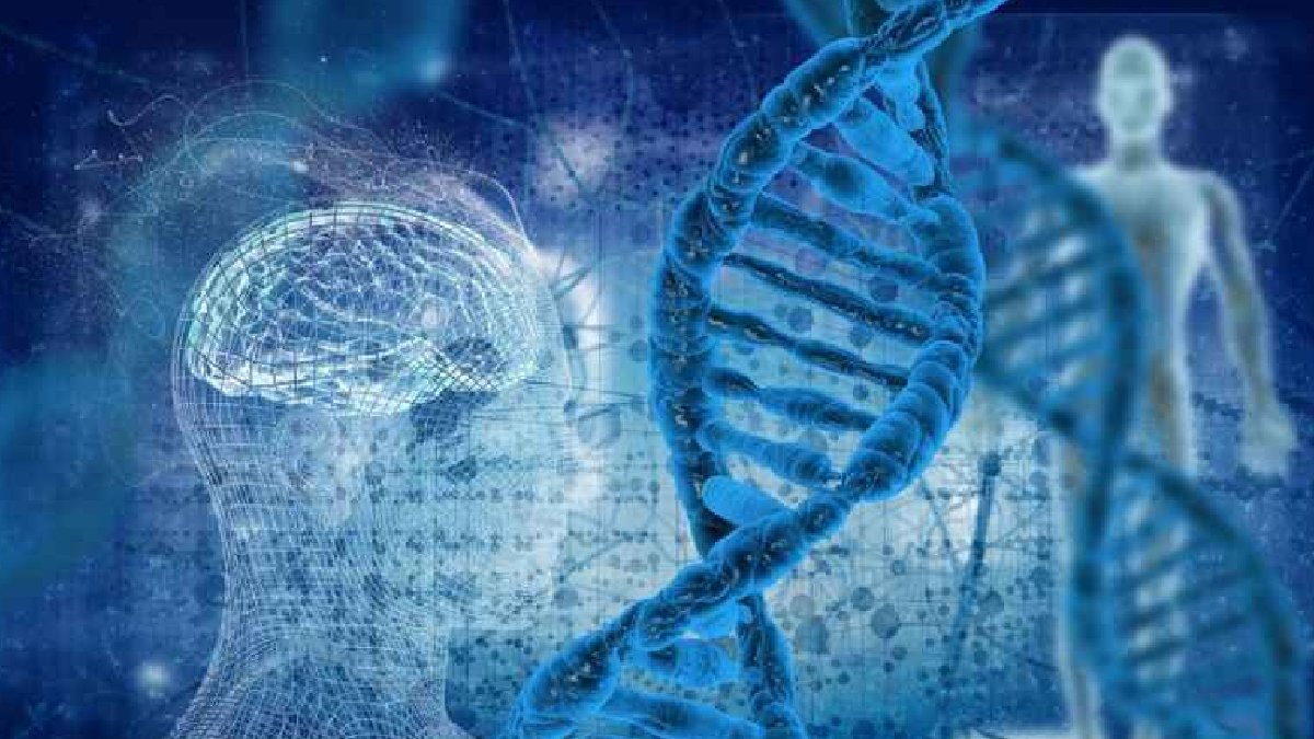 Bilim gelişiyor, kaygılar artıyor: Yapay insan kromozomu yolda