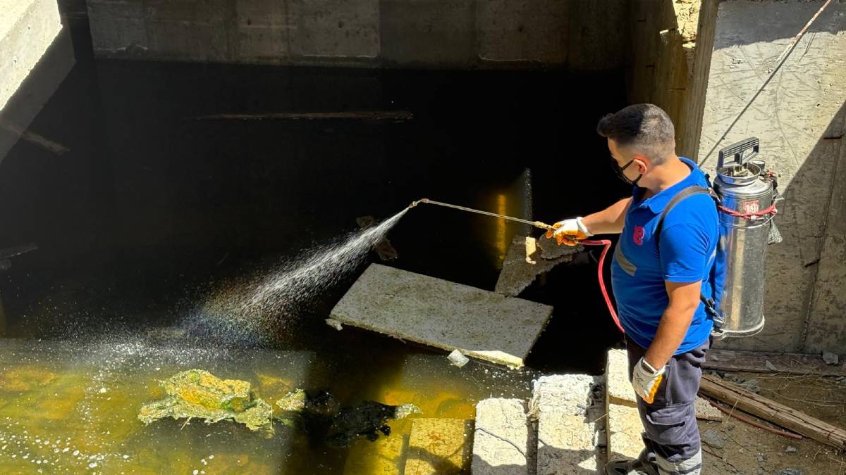 Efeler’de kent zararlılarına karşı mücadele aralıksız sürüyor